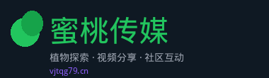 蜜桃传媒